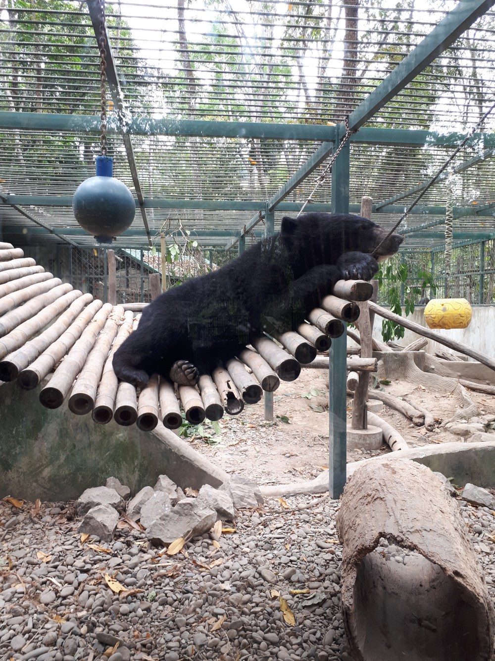 Tat Kuang Si Bear Rescue Center